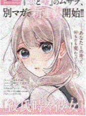 乡村女婿 小说封面